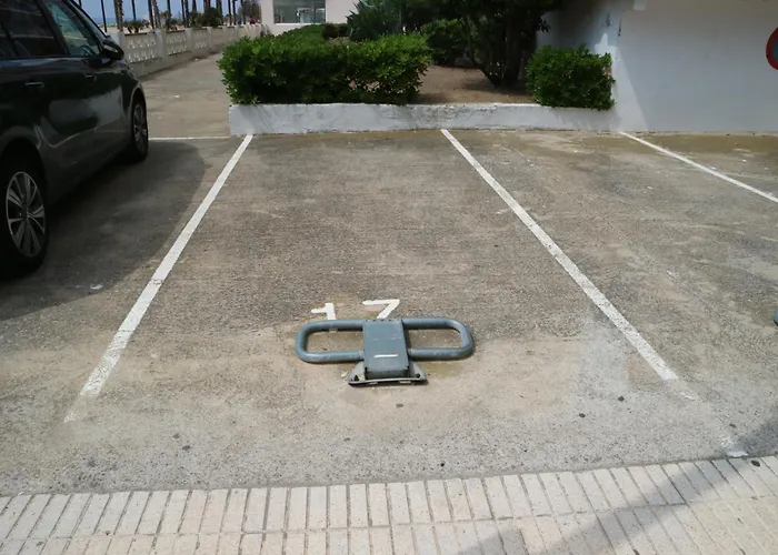 Ibr-front 17 רוזס